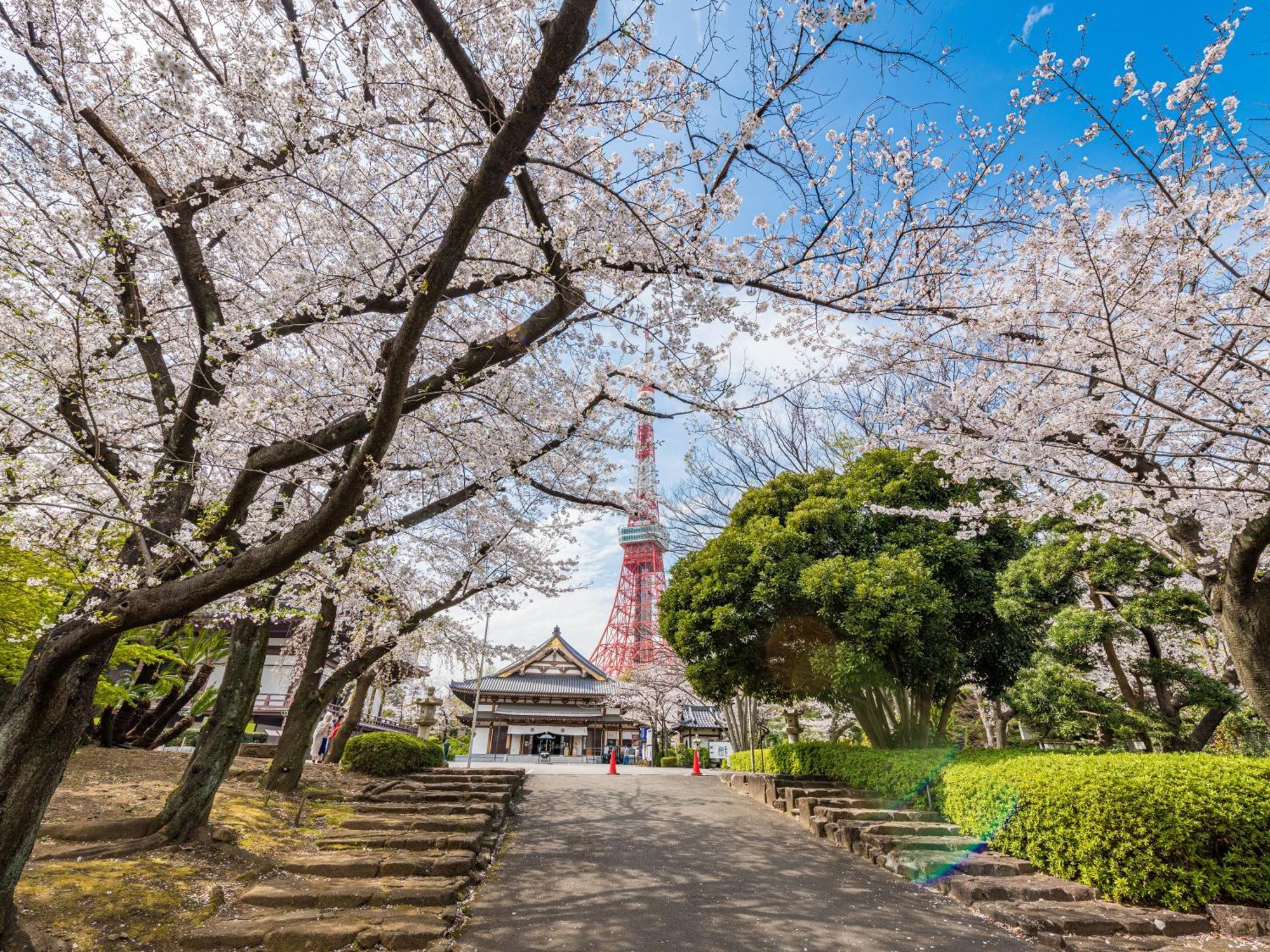 Illi Rom Hamamatsucho Hotel โตเกียว ภายนอก รูปภาพ